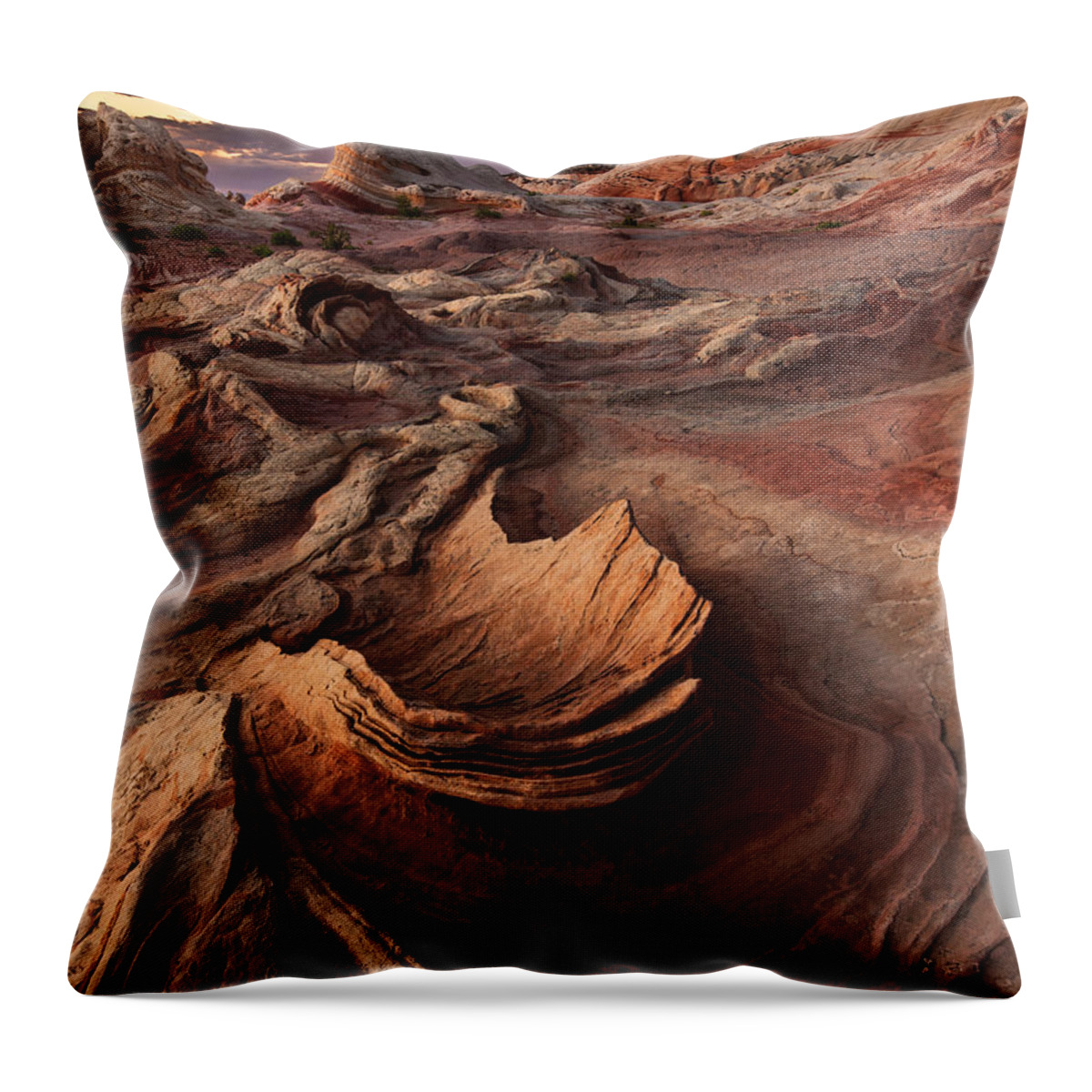 Vermilion Throw Pillow featuring the photograph Chalice by Peter Boehringer