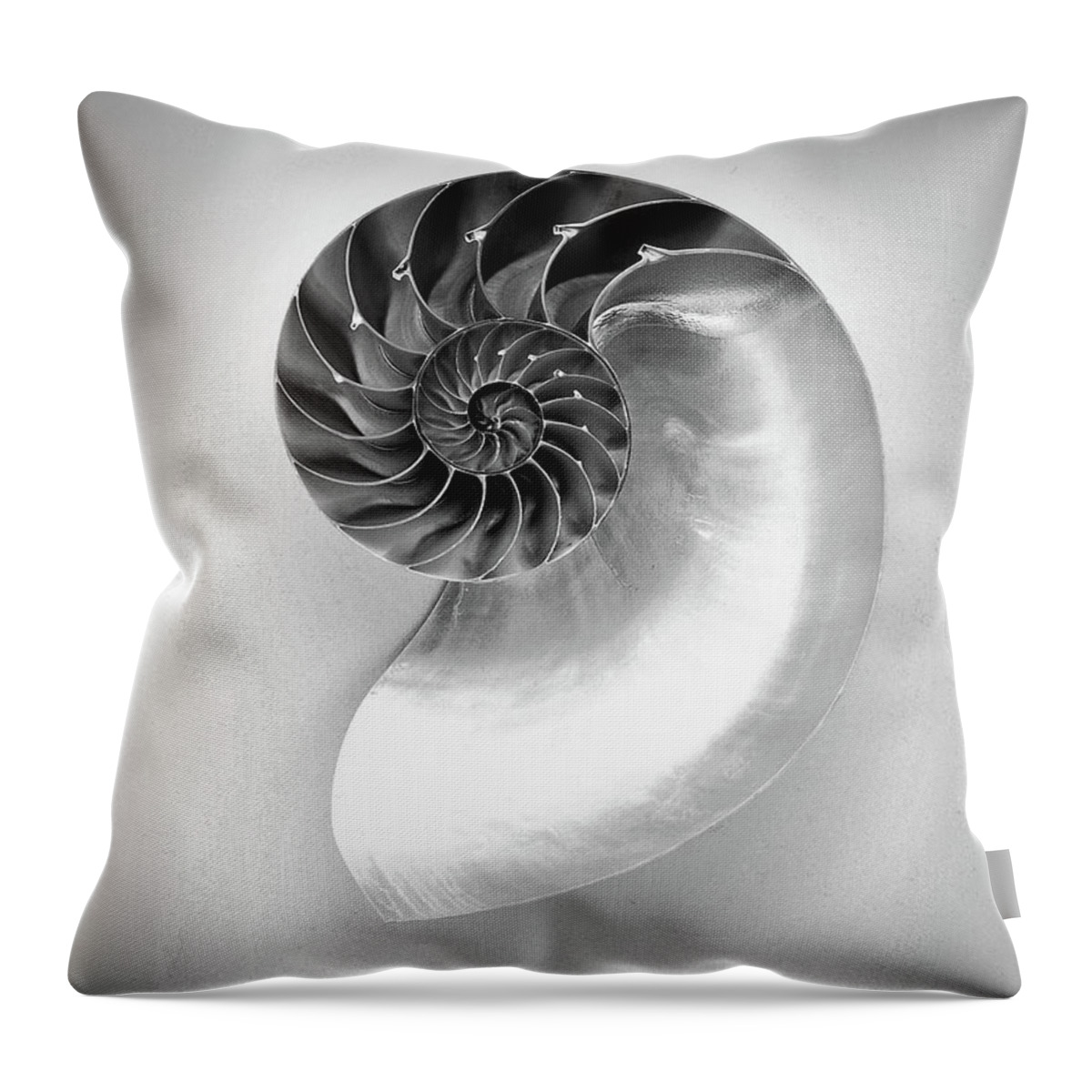 Nautilus Shell Throw Pillow featuring the photograph Chambered Nautilus Shell in Monochrome by Susan Maxwell Schmidt