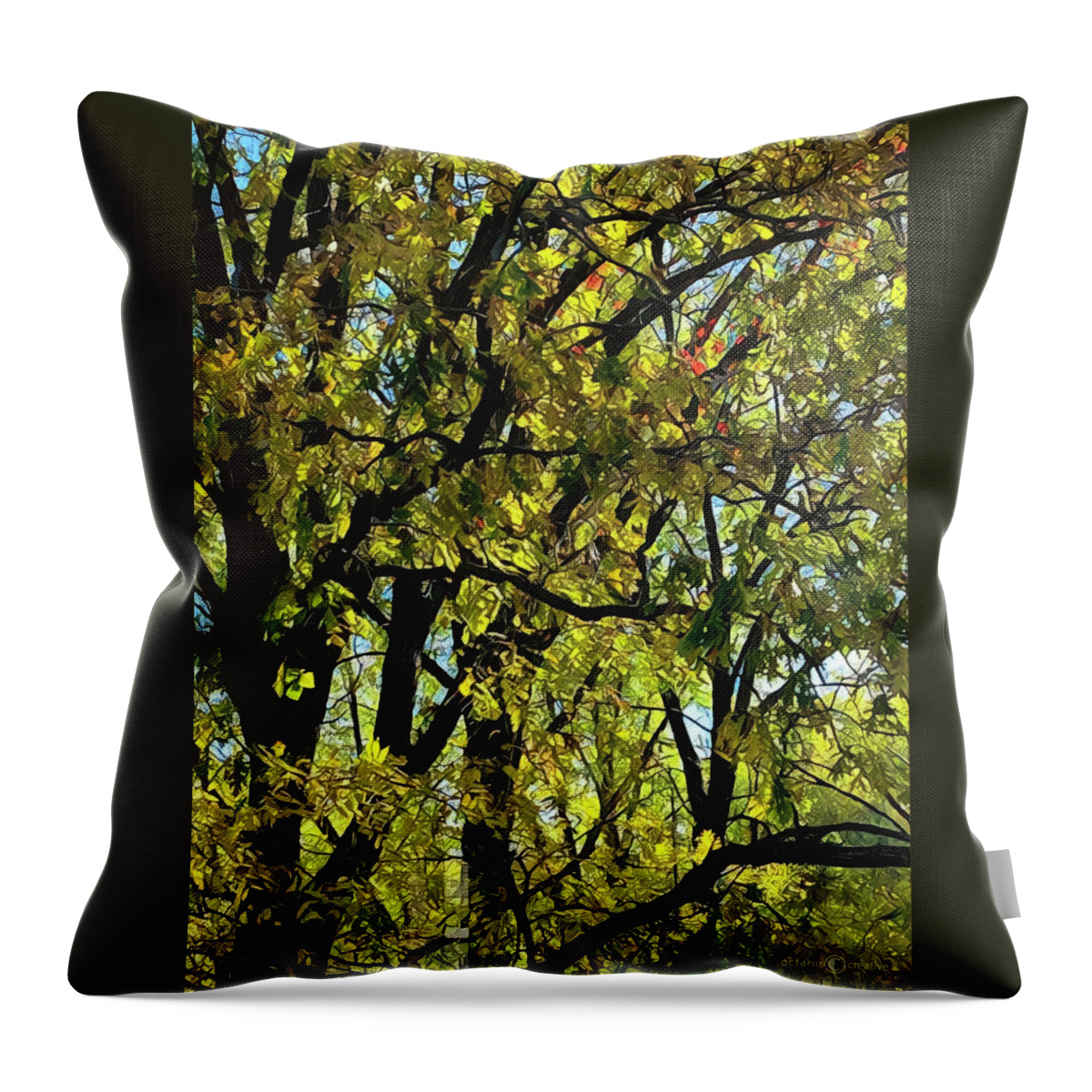 Trees Throw Pillow featuring the photograph Change of Season by Tim Nyberg