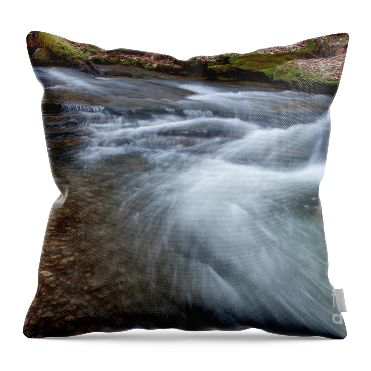 Frozen Head State Park Throw Pillow featuring the photograph Changing Flow by Phil Perkins