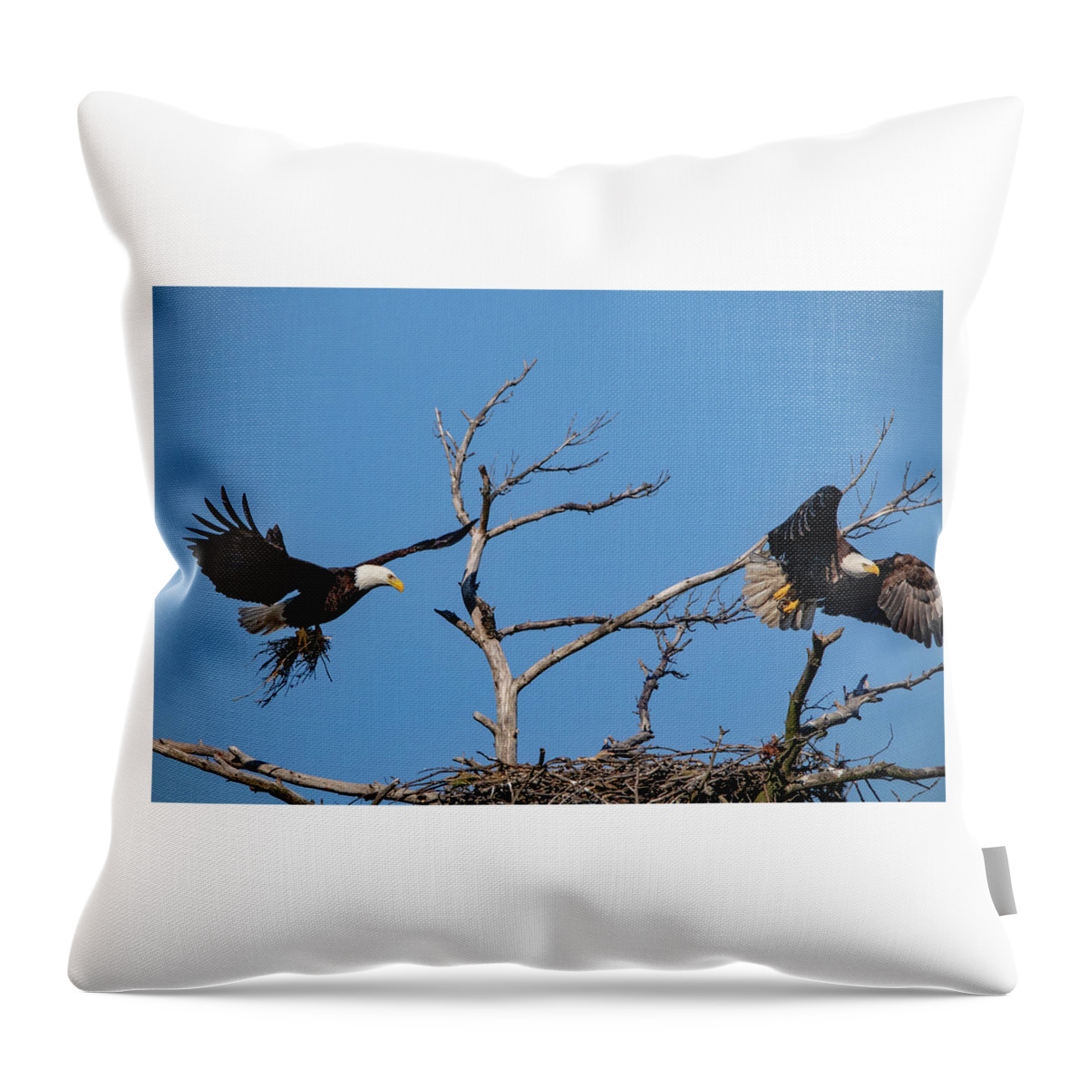 Eagle Throw Pillow featuring the photograph Changing of the Guard by Ira Marcus