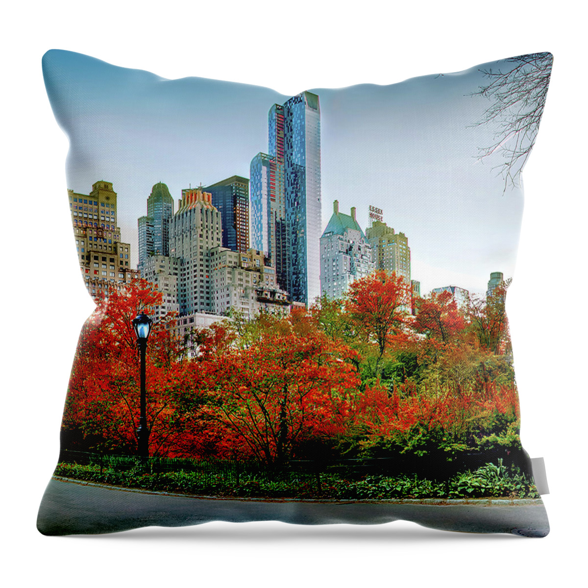 Central Park Throw Pillow featuring the photograph Changing Of The Seasons Triptych_2 by Az Jackson