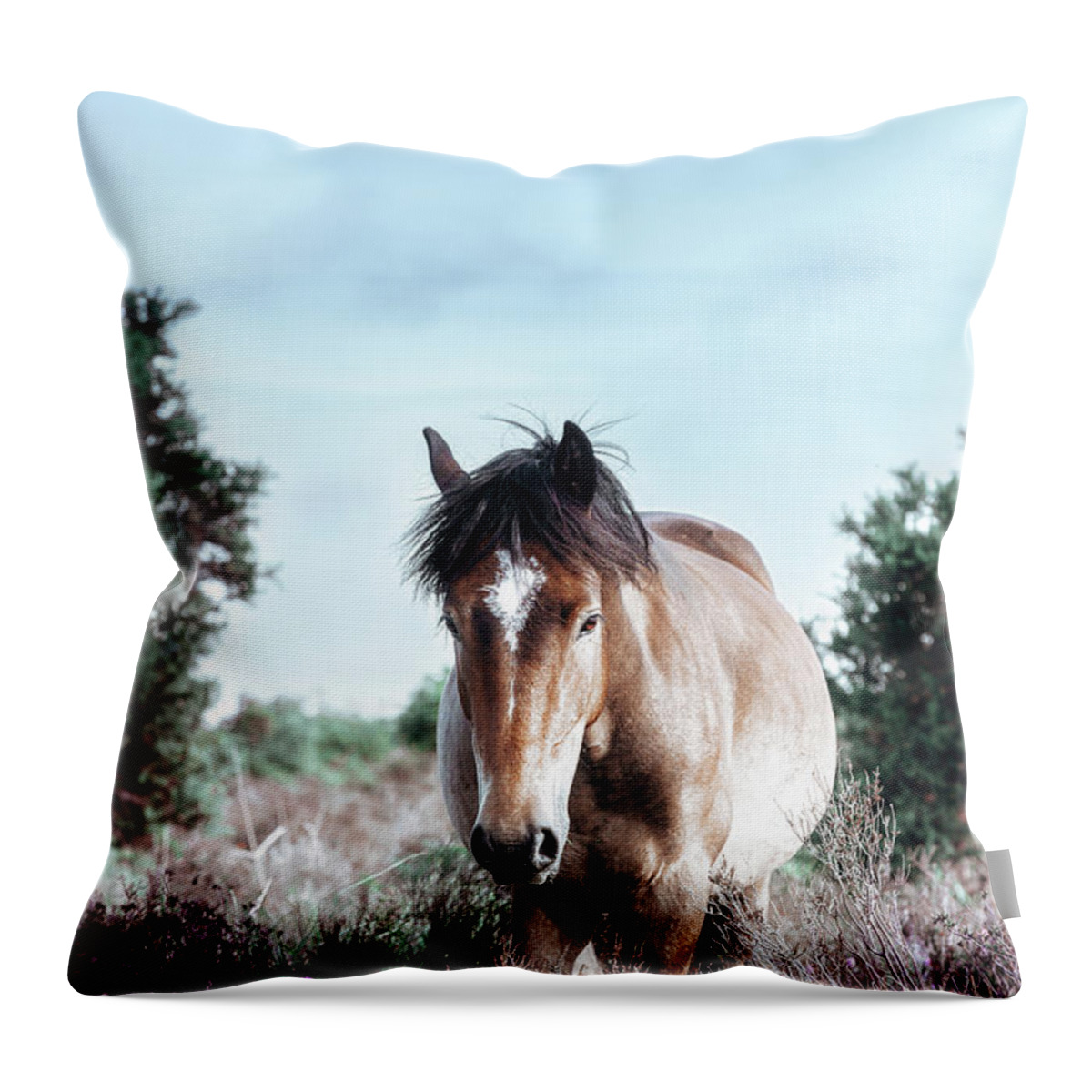 Horse Throw Pillow featuring the photograph Charles - Horse Art by Lisa Saint