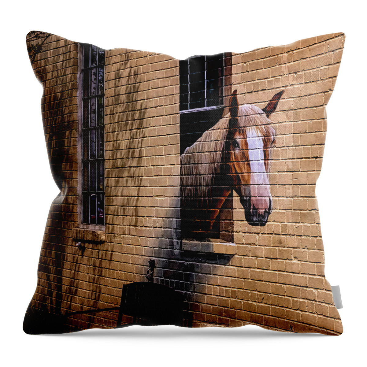 Marietta Georgia Throw Pillow featuring the photograph Charleston Horse Mural by Tom Singleton
