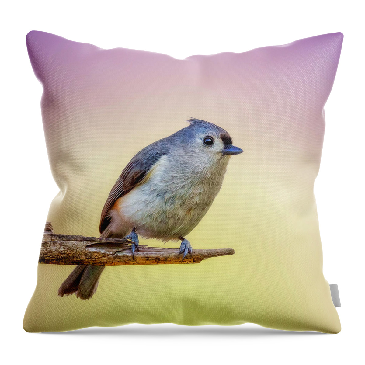 Bird Throw Pillow featuring the photograph Cheerful Tit by Bill and Linda Tiepelman