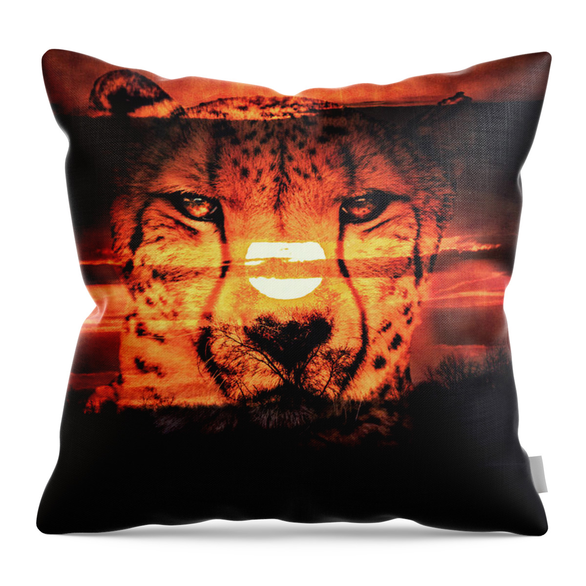 Cheetah Portrait Throw Pillow featuring the photograph Cheetah Sunset by Dan Sproul