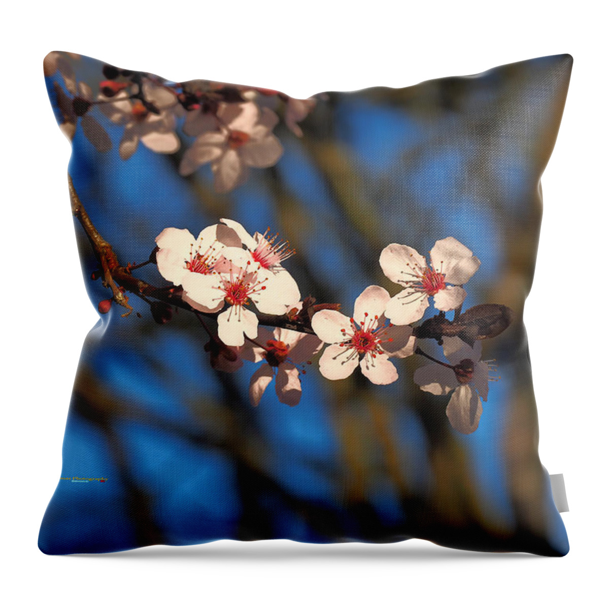 Botanical Throw Pillow featuring the photograph Cherry Blossom Grouping by Richard Thomas