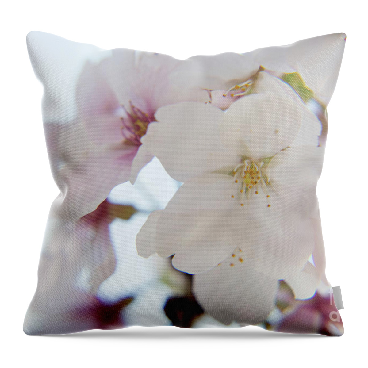 Flowers Throw Pillow featuring the photograph Cherry blossoms by Agnes Caruso