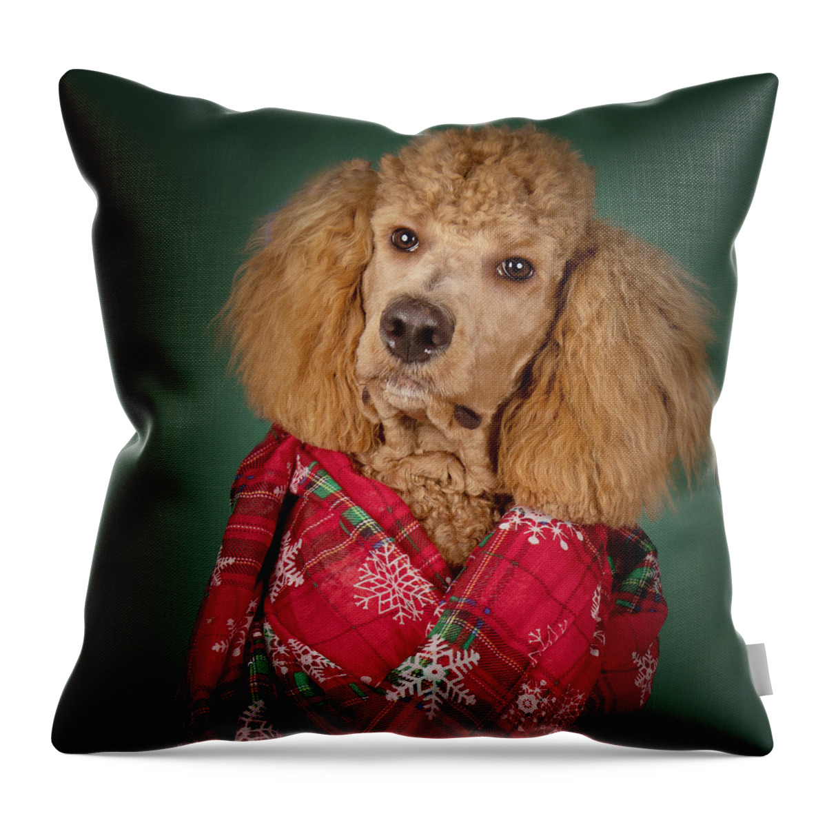 Chester Throw Pillow featuring the photograph Chester Xmas 5 Square by Rebecca Cozart