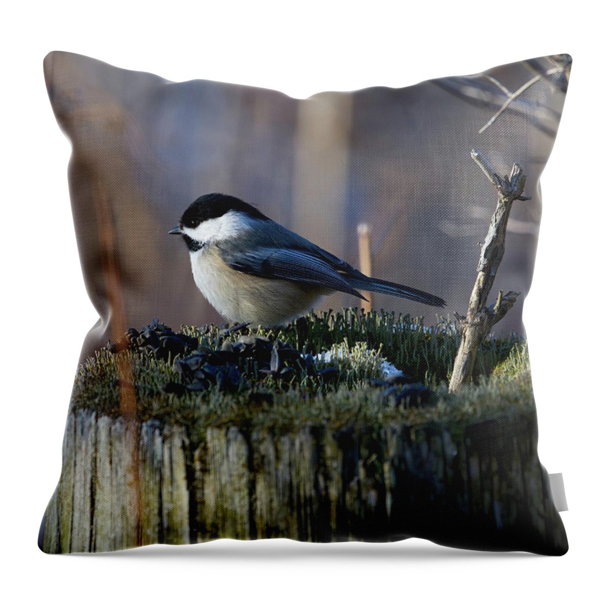 Bird Throw Pillow featuring the photograph Chickadee on a Stump by Flinn Hackett