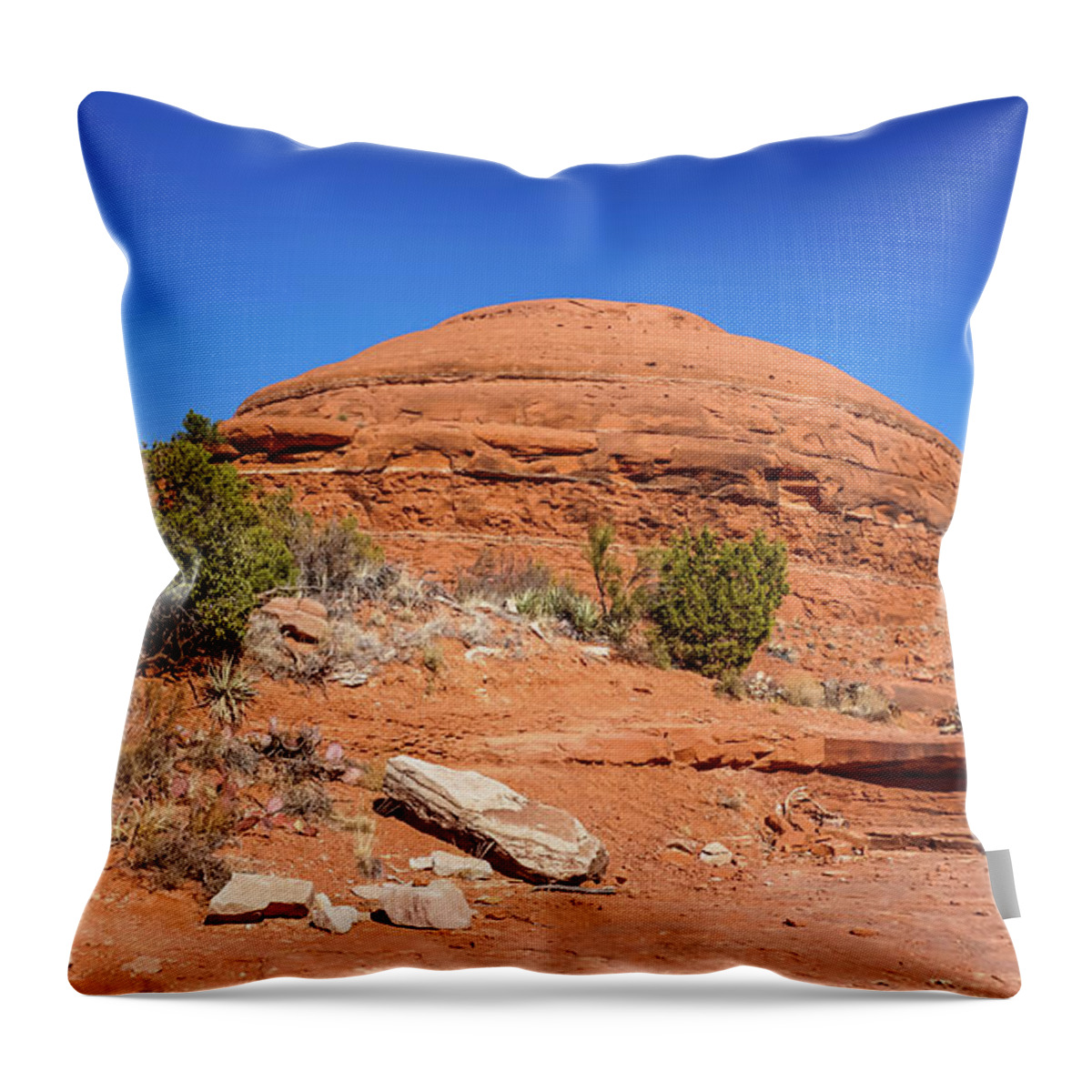 2021 Throw Pillow featuring the photograph Chicken Point by Dawn Richards