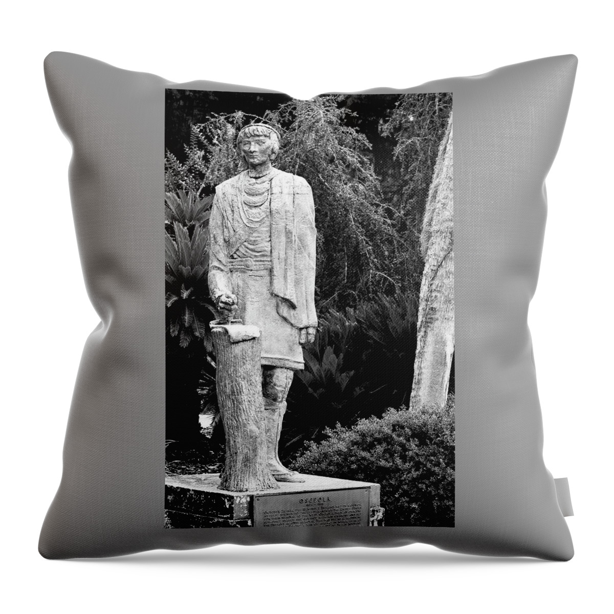 Chief Osceola Throw Pillow featuring the photograph Chief Osceola by Warren Thompson