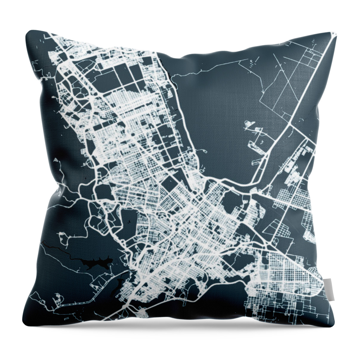 City Throw Pillow featuring the digital art Chihuahua Mexico by Bo Kev