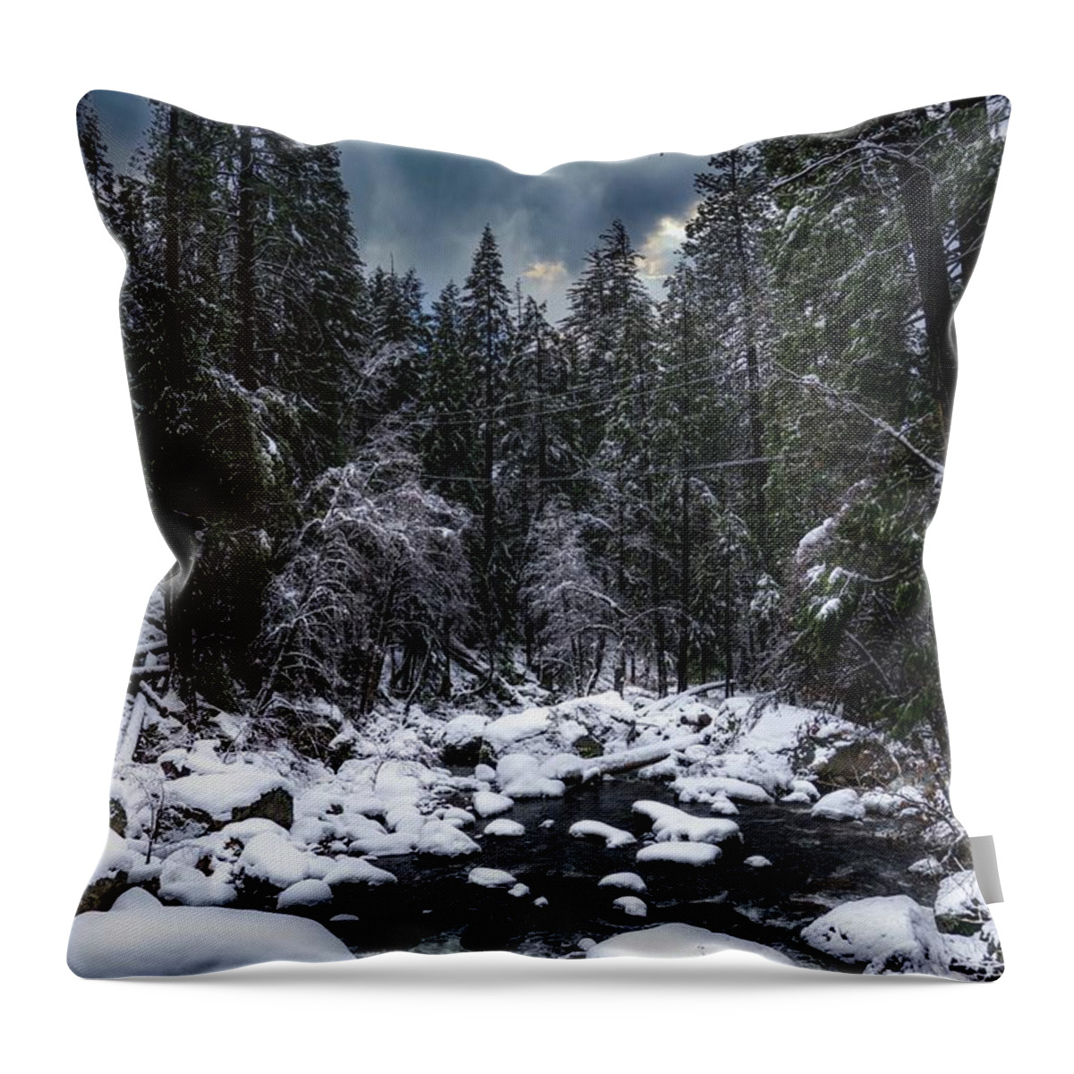  Throw Pillow featuring the photograph Chill In the Air by Devin Wilson