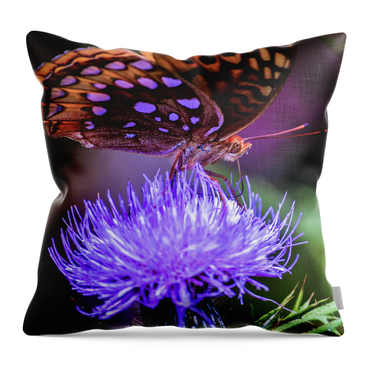Butterfly Throw Pillow featuring the photograph Chillin' by Addison Likins