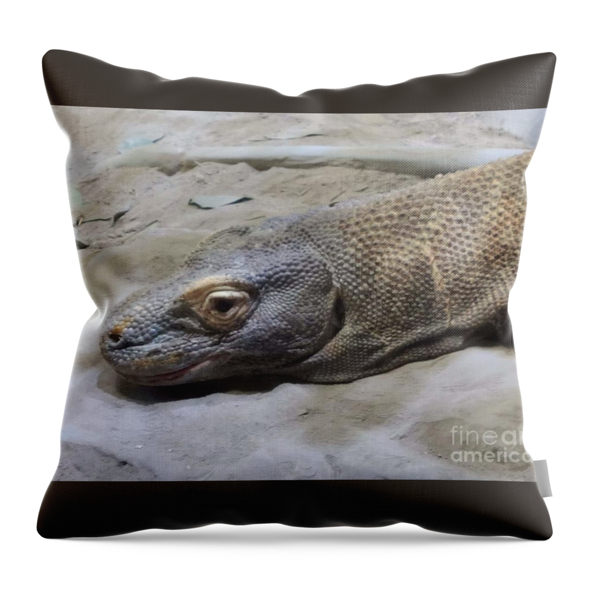 Komodo Throw Pillow featuring the photograph Chilling with a Komodo Dragon by Elena Pratt