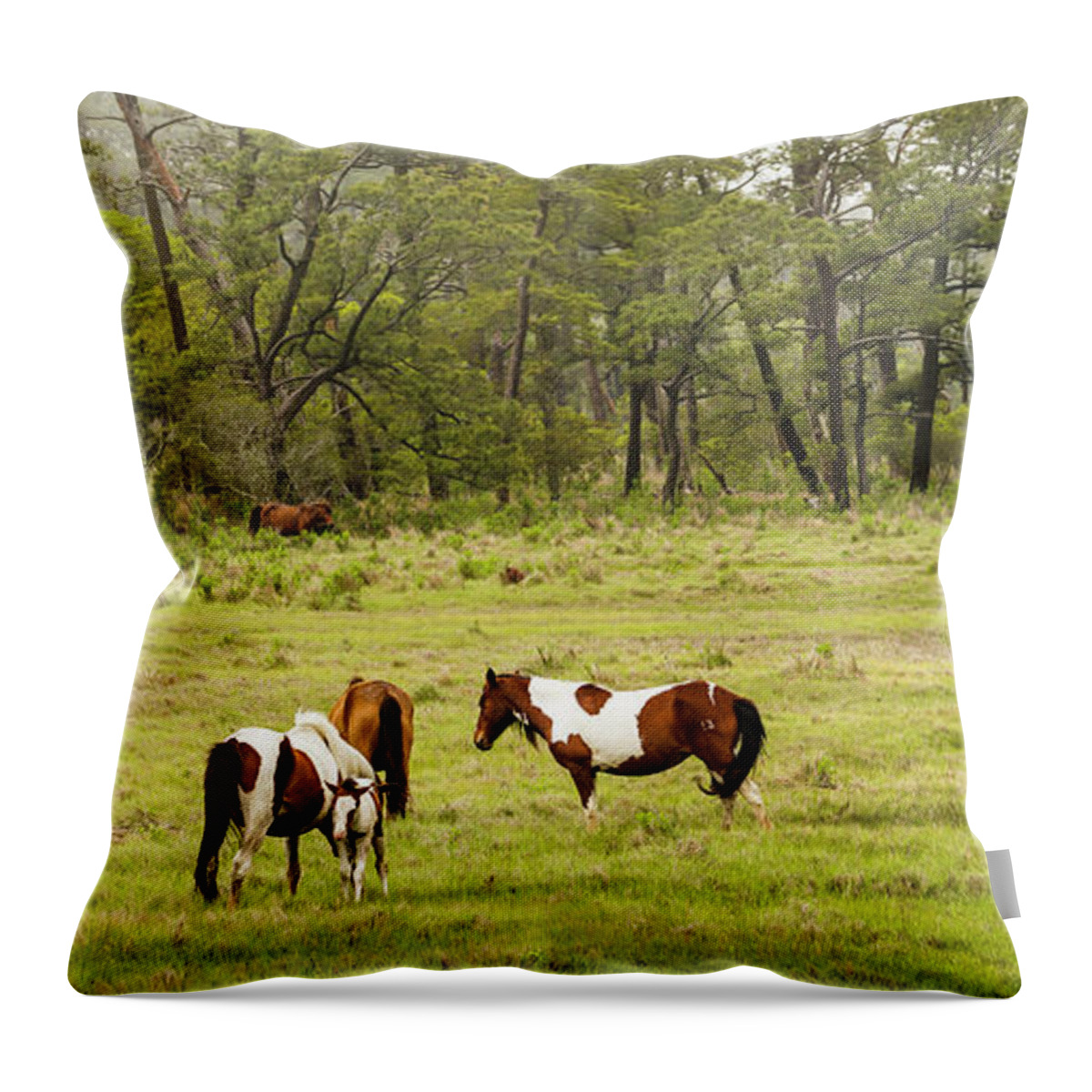 Chincoteague Throw Pillow featuring the photograph Chincoteague Pony Herd by Dale R Carlson