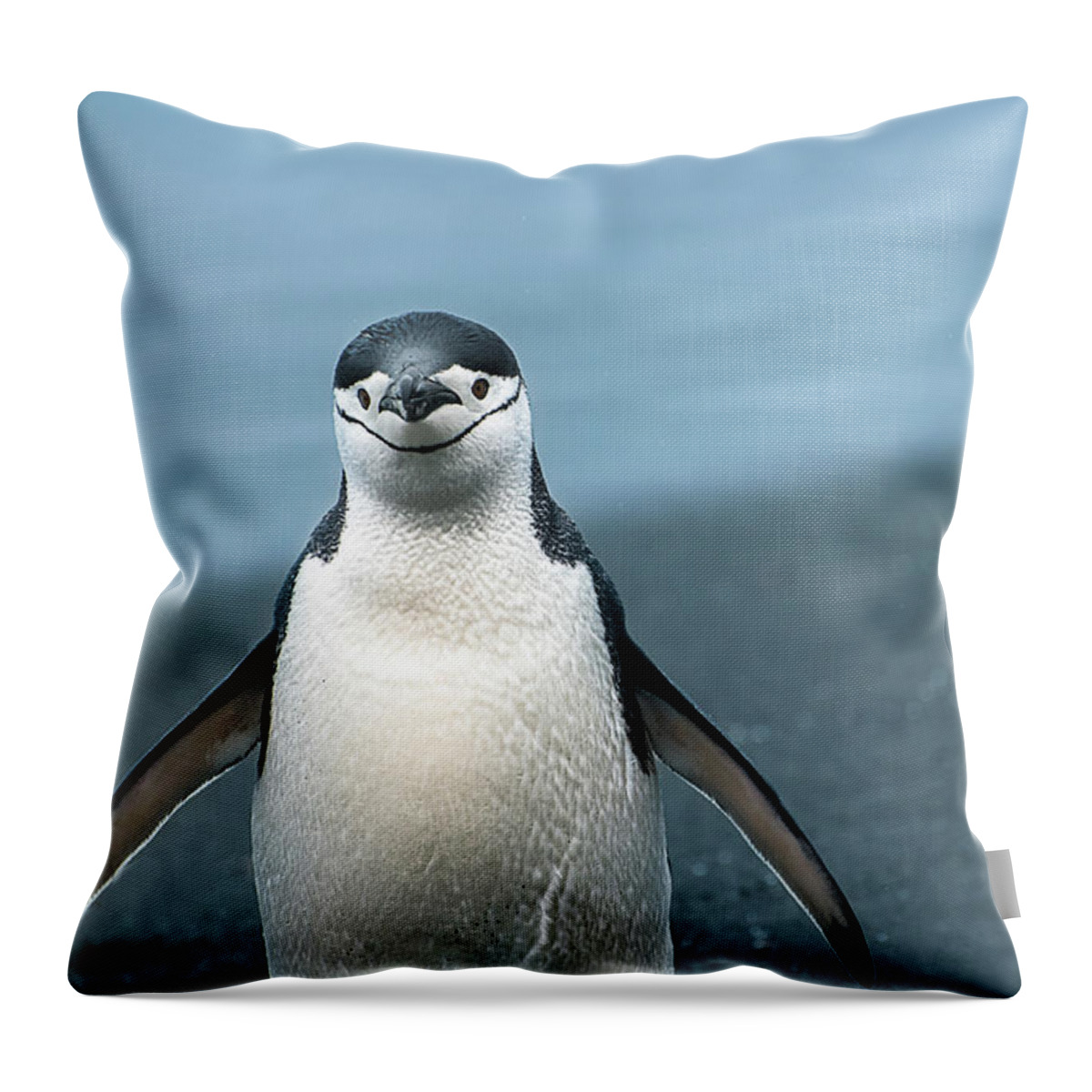 Penguin Throw Pillow featuring the photograph Chinstrap Penguin Greeting by Linda Villers