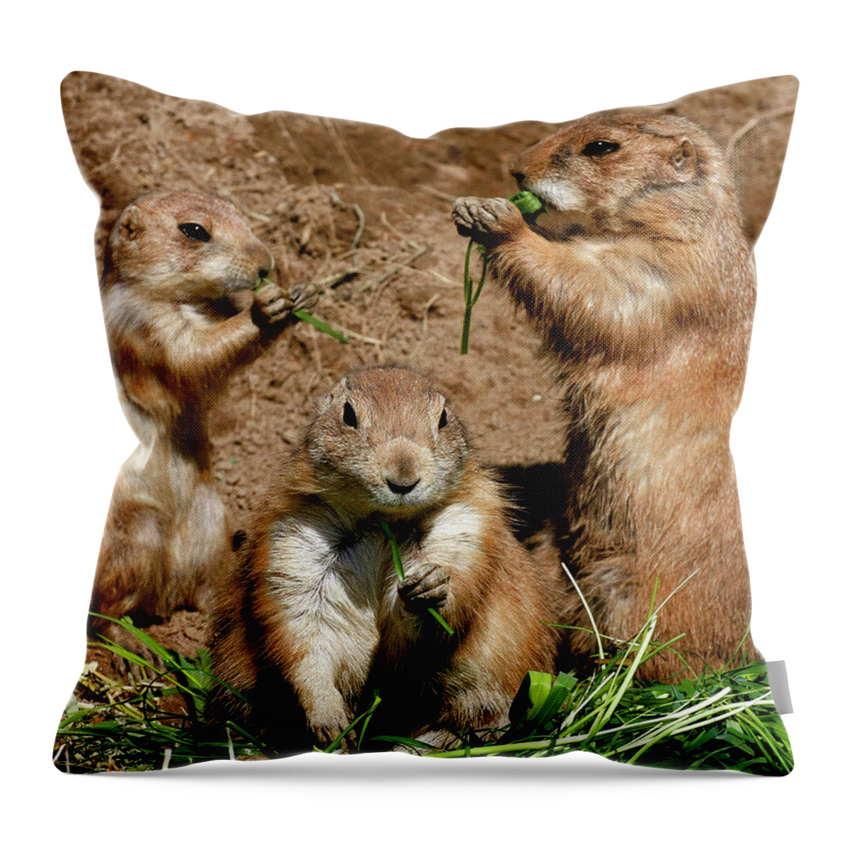 Chipmunks Lunch Together Throw Pillow featuring the photograph Chipmunks Having Lunch Together by David Morehead