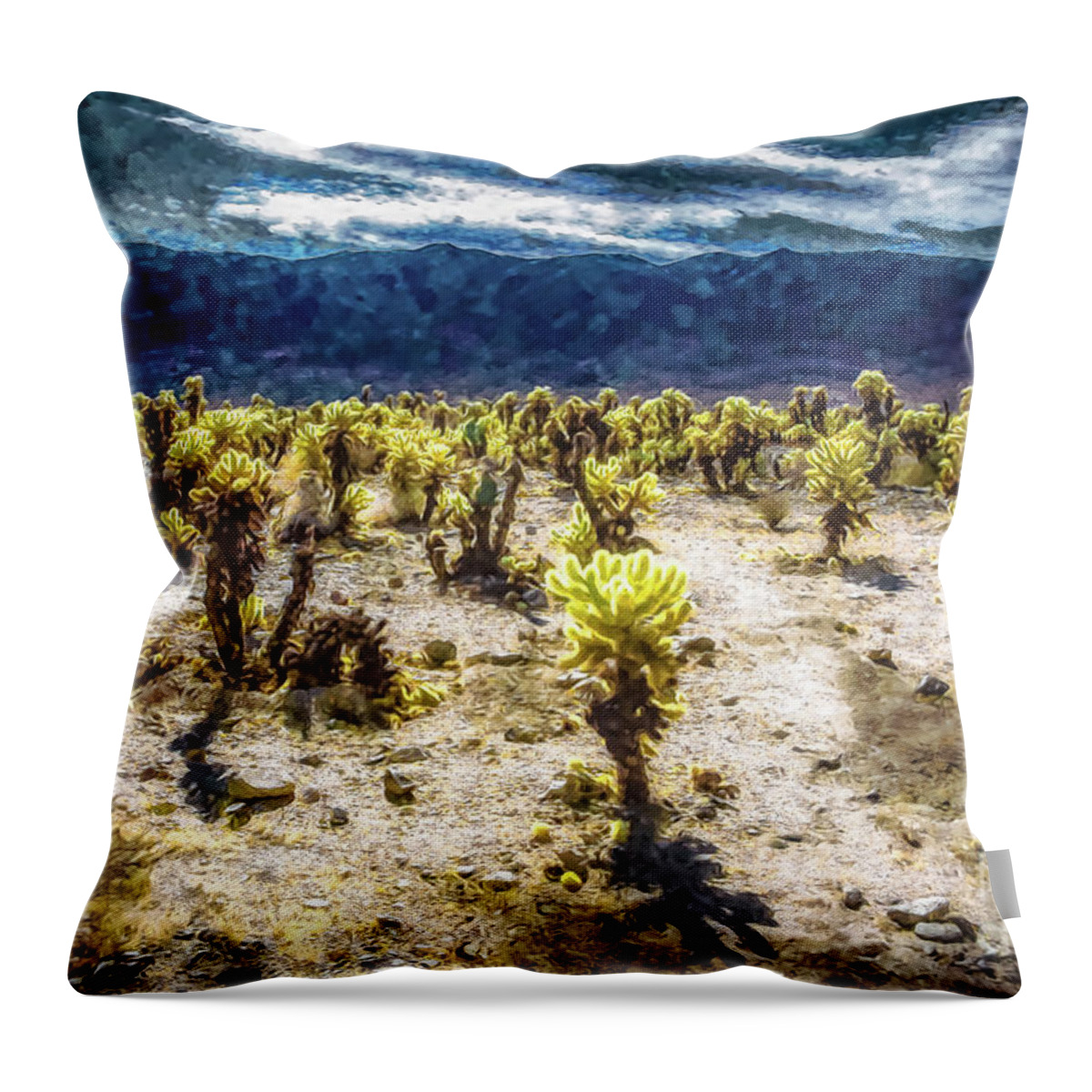 Cactus Throw Pillow featuring the photograph Cholla Afternoon by Stefan H Unger