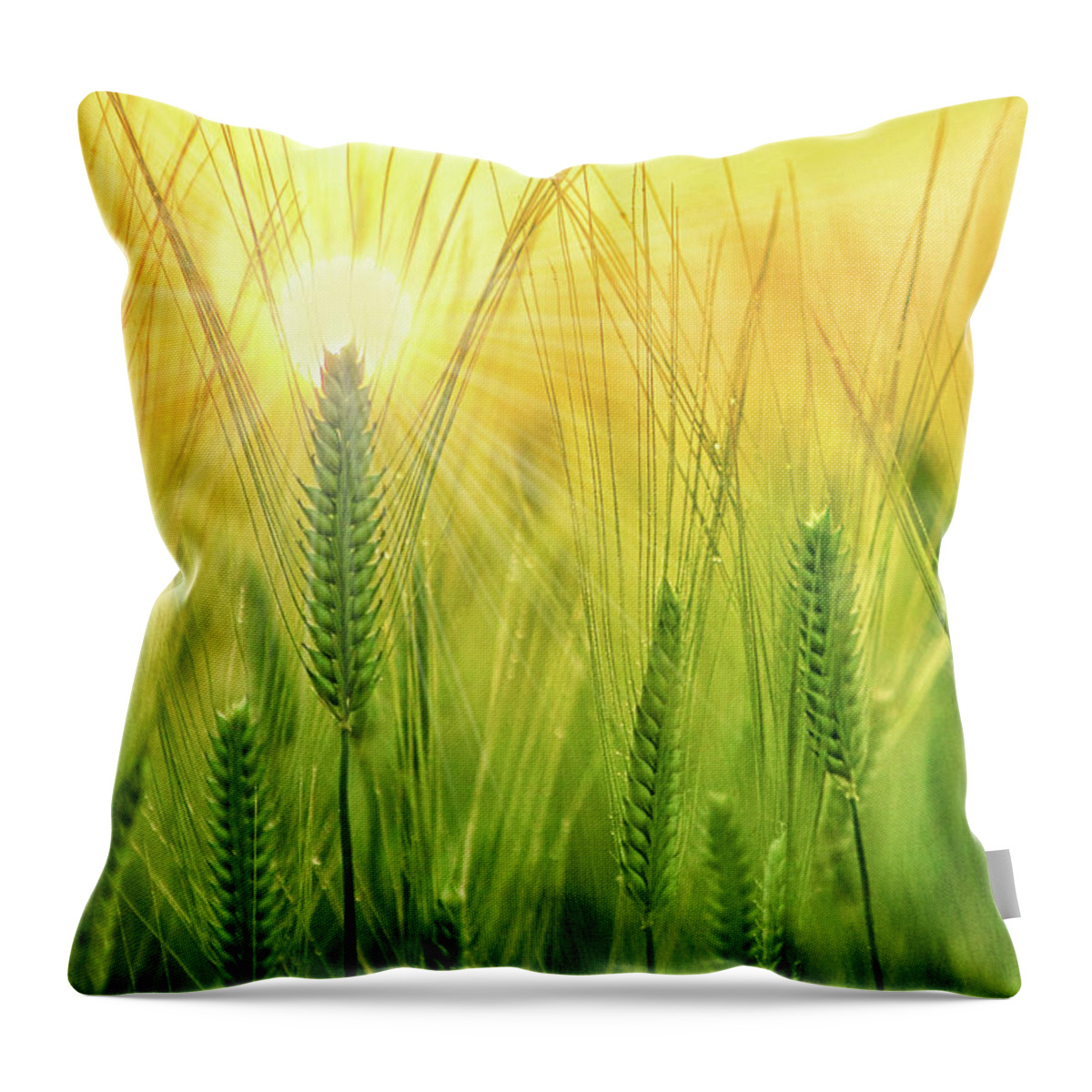 Encourage Throw Pillow featuring the digital art Chrisian Get Well I Pray Summer Wheat Field by Doreen Erhardt