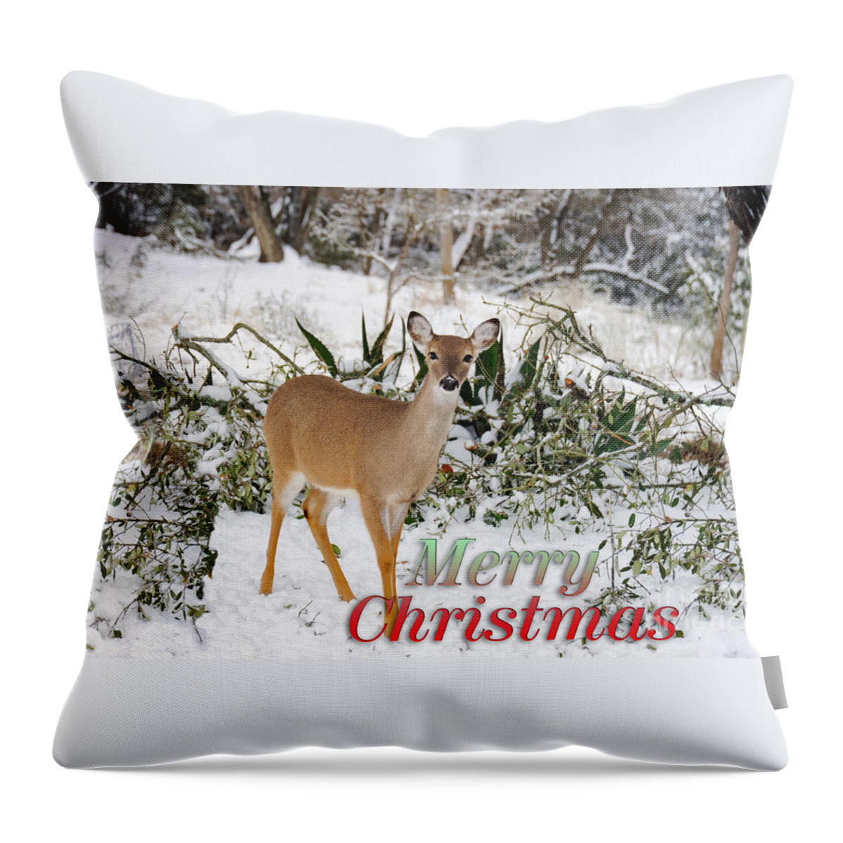 Forest Throw Pillow featuring the photograph Christmas doe in the snow by Gunther Allen
