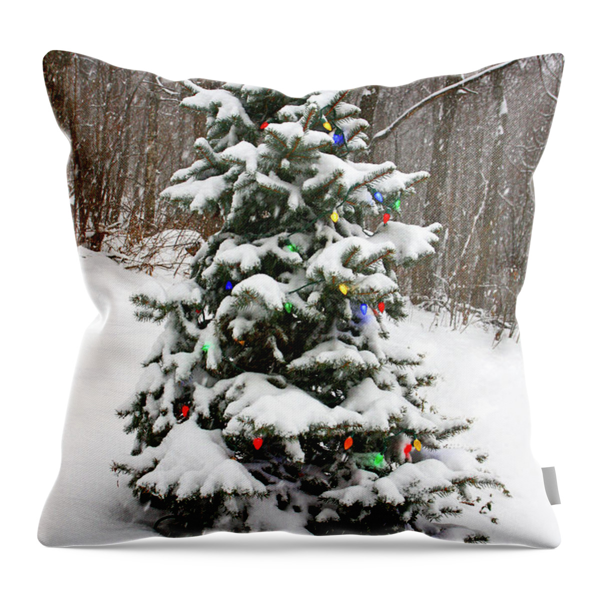 Christmas Tree Throw Pillow featuring the photograph Christmas Spruce by Dale R Carlson