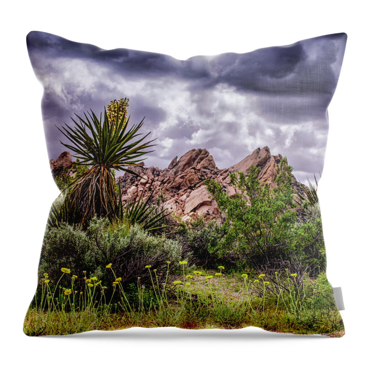 Nevada Throw Pillow featuring the photograph Christmas Tree Pass, Southern Nevada by Janis Knight