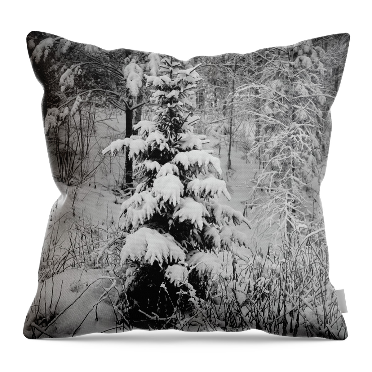 Finland Throw Pillow featuring the photograph Christmastree snowed by Jouko Lehto