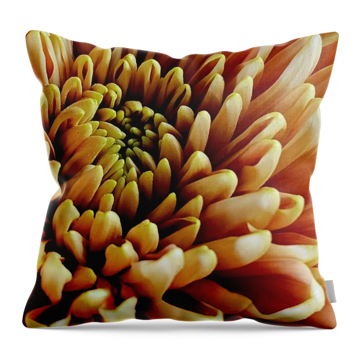 Art Throw Pillow featuring the photograph Golden Fall Chrysanthemum by Jeannie Rhode