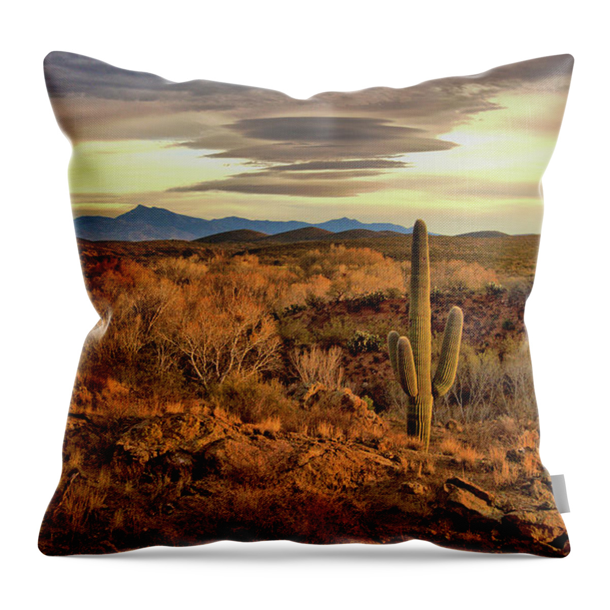 Landscape Throw Pillow featuring the photograph Cienega Creek Sunset by Josephine Buschman