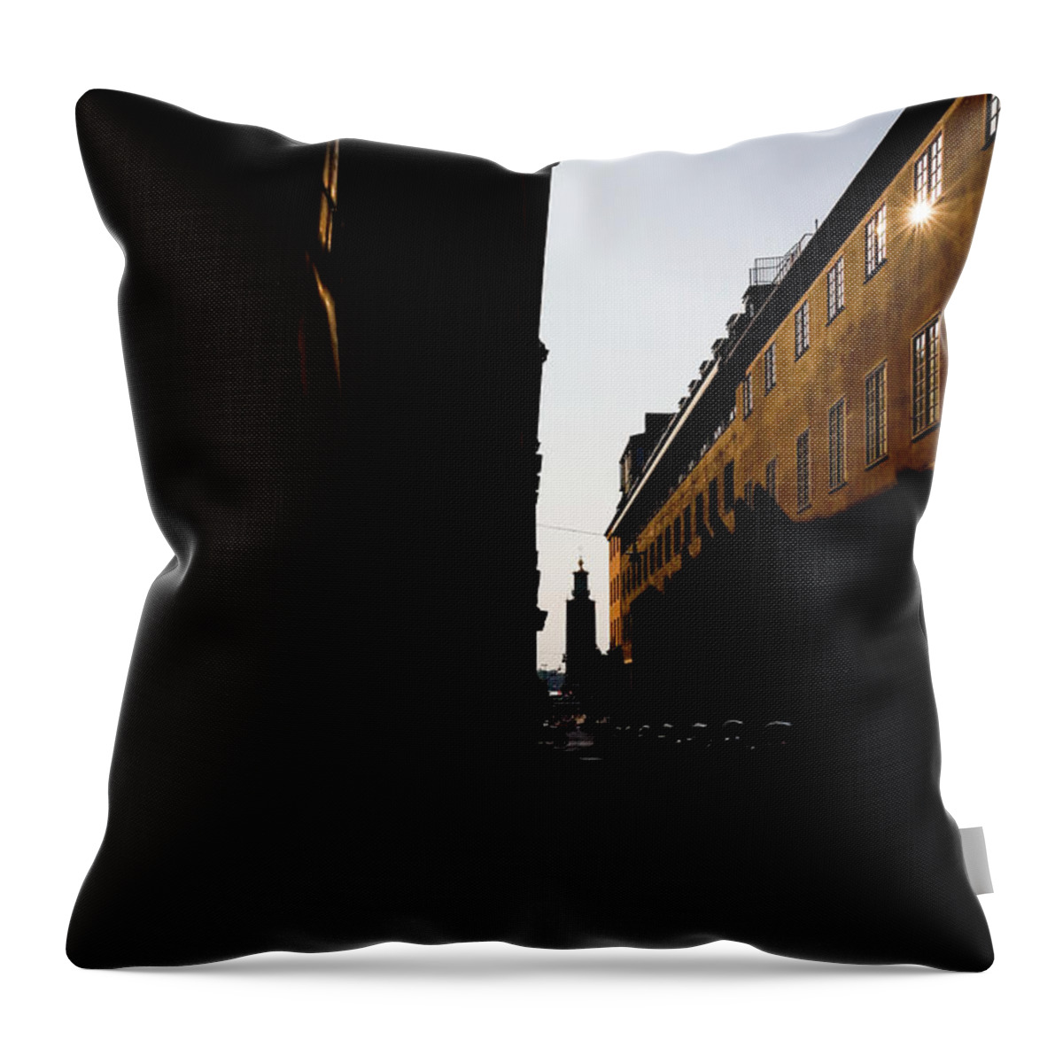 Europe Throw Pillow featuring the photograph City Hall Stockholm by Alexander Farnsworth