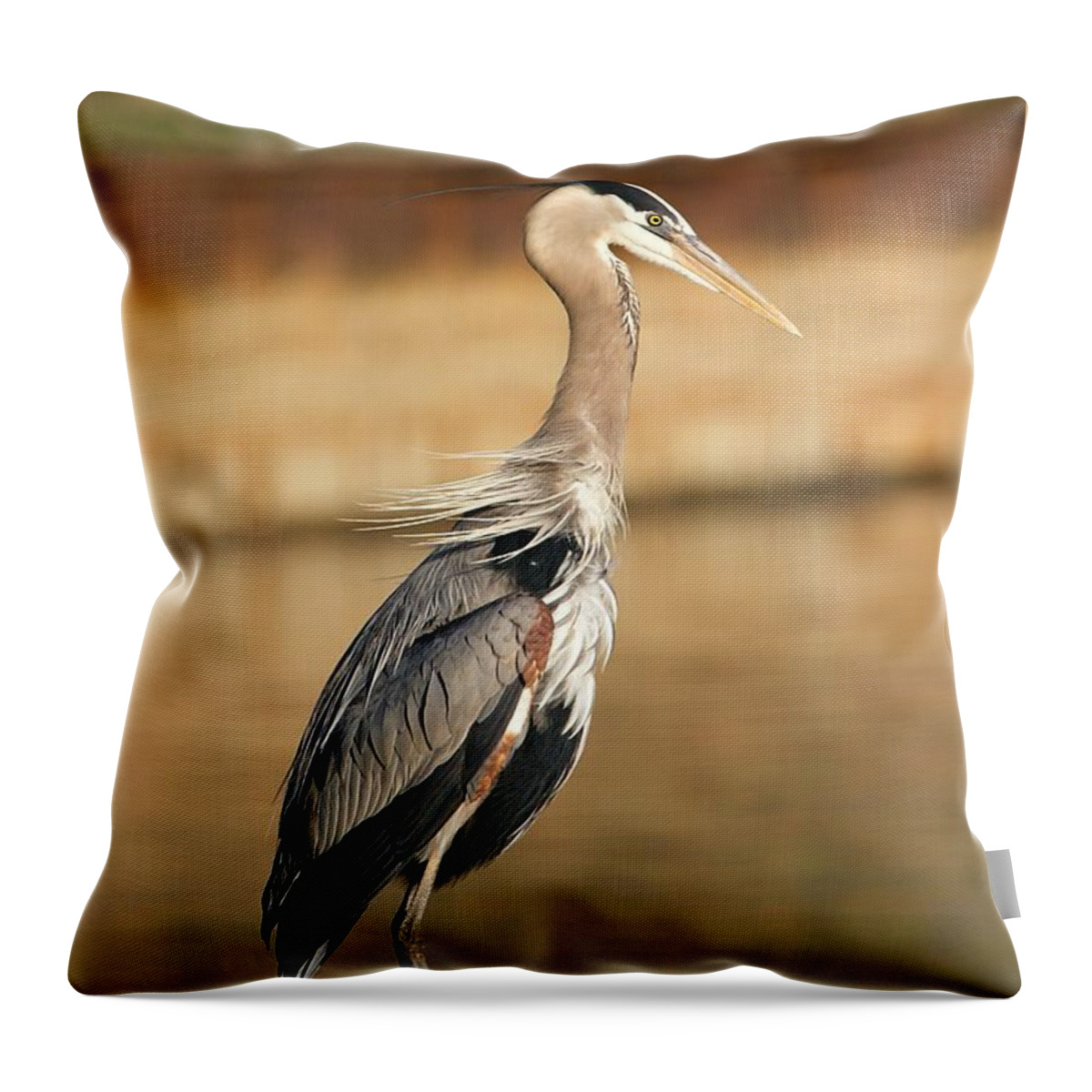 Great Blue Heron Throw Pillow featuring the photograph Classic Great Heron Pose by Yvonne M Smith