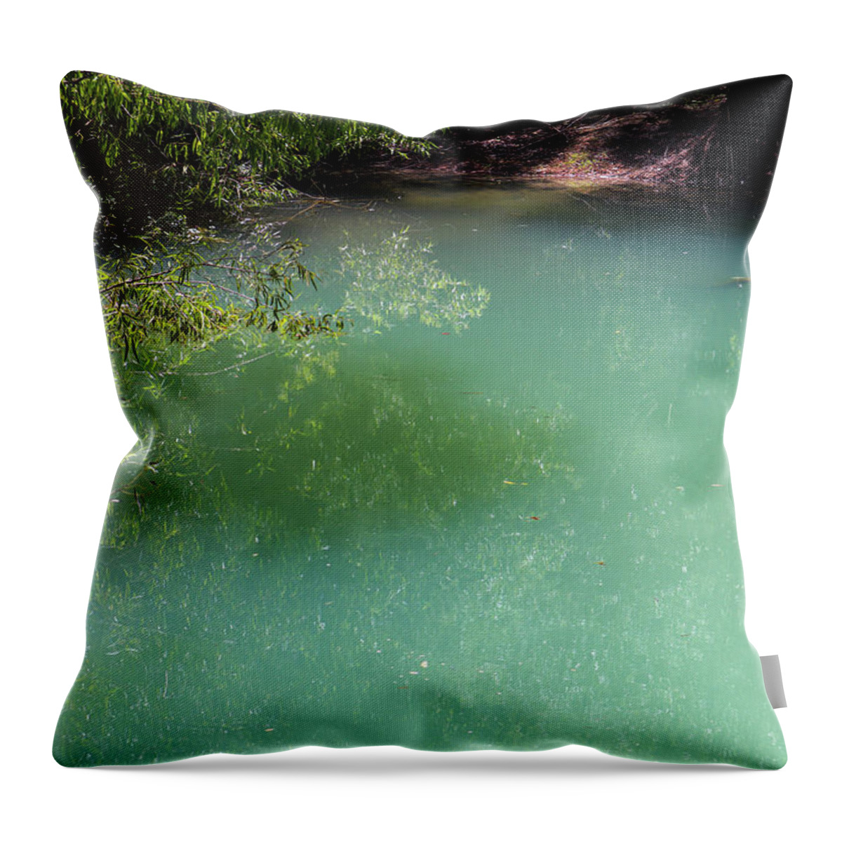 Pond Throw Pillow featuring the photograph Clay Pool Colors by Ed Williams