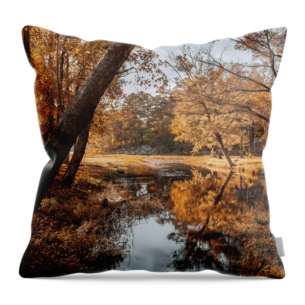 Lake Throw Pillow featuring the photograph Clayton Lake by Iris Greenwell