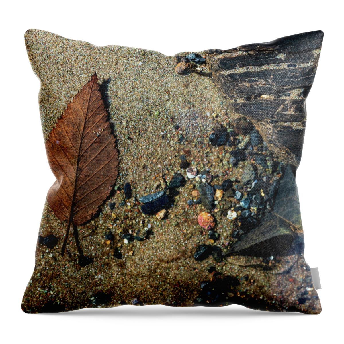 Landscapes Throw Pillow featuring the photograph Clean Water - Delaware River - Underwater Photography 4 by Amelia Pearn