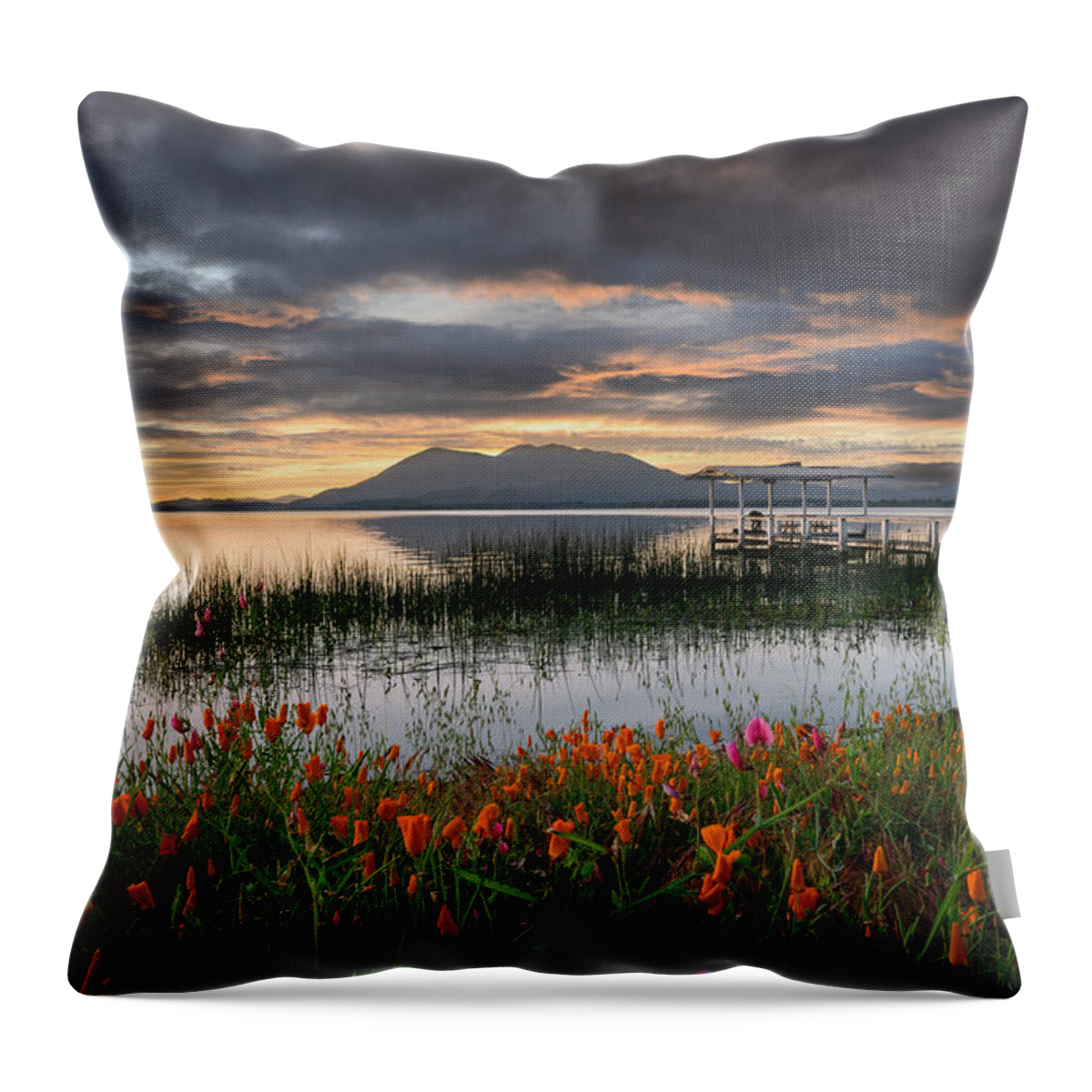 Landscape Throw Pillow featuring the photograph Clear Lake Sunrise by Devin Wilson