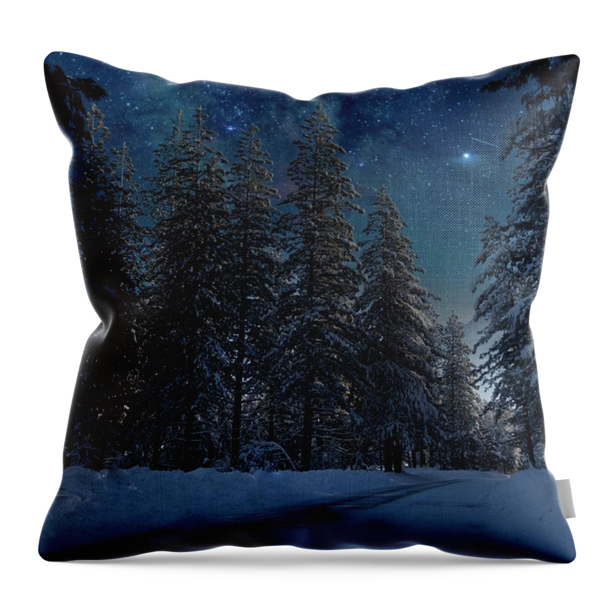 Landscape Throw Pillow featuring the photograph Clear Winter Nights by Devin Wilson