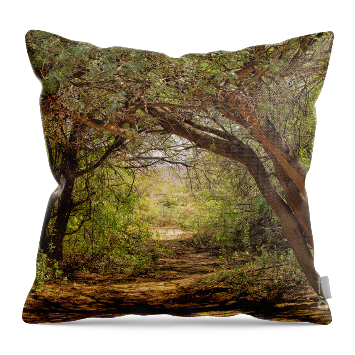 Clearing Throw Pillow featuring the photograph Clearing in the woods by Patricia Hofmeester