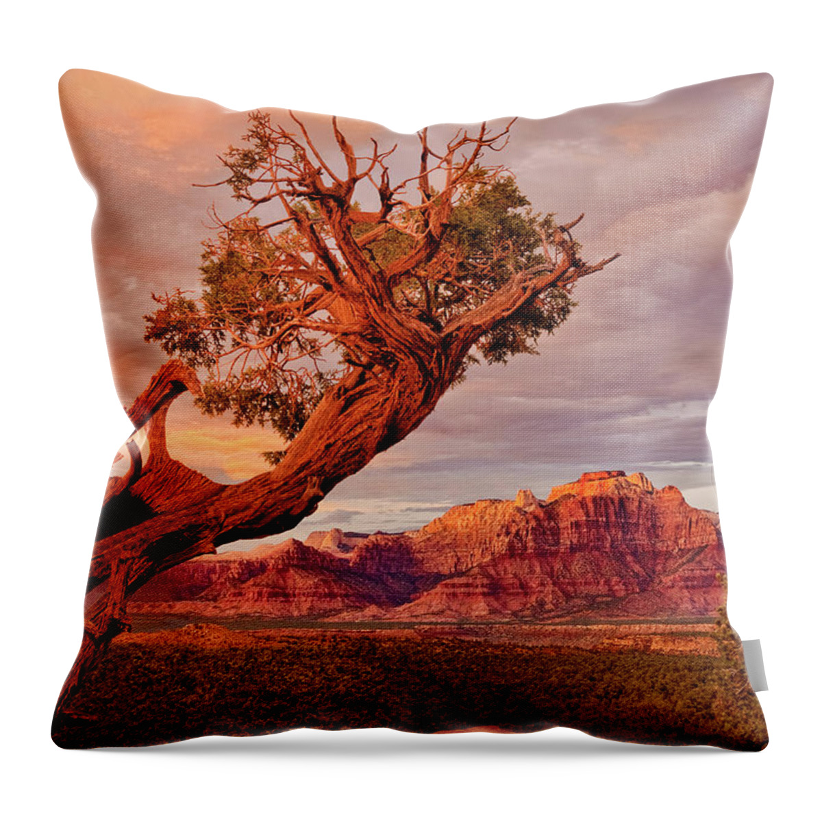 Dave Welling Throw Pillow featuring the photograph Clearing Storm And West Temple South Of Zion National Park by Dave Welling