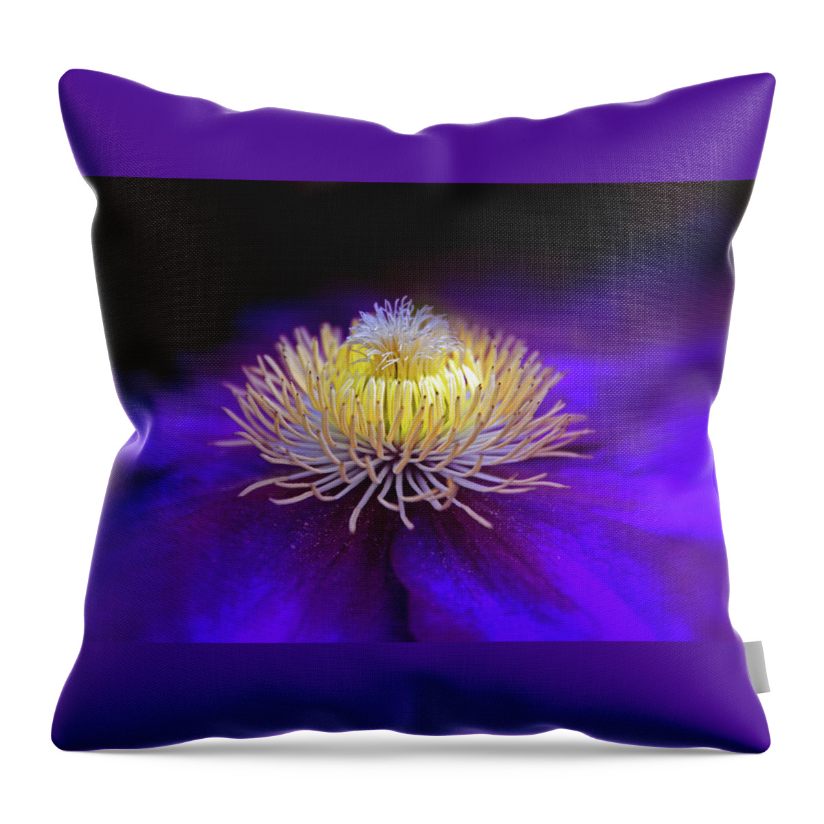 Flower Throw Pillow featuring the photograph Clematis Aglow by Jessica Jenney