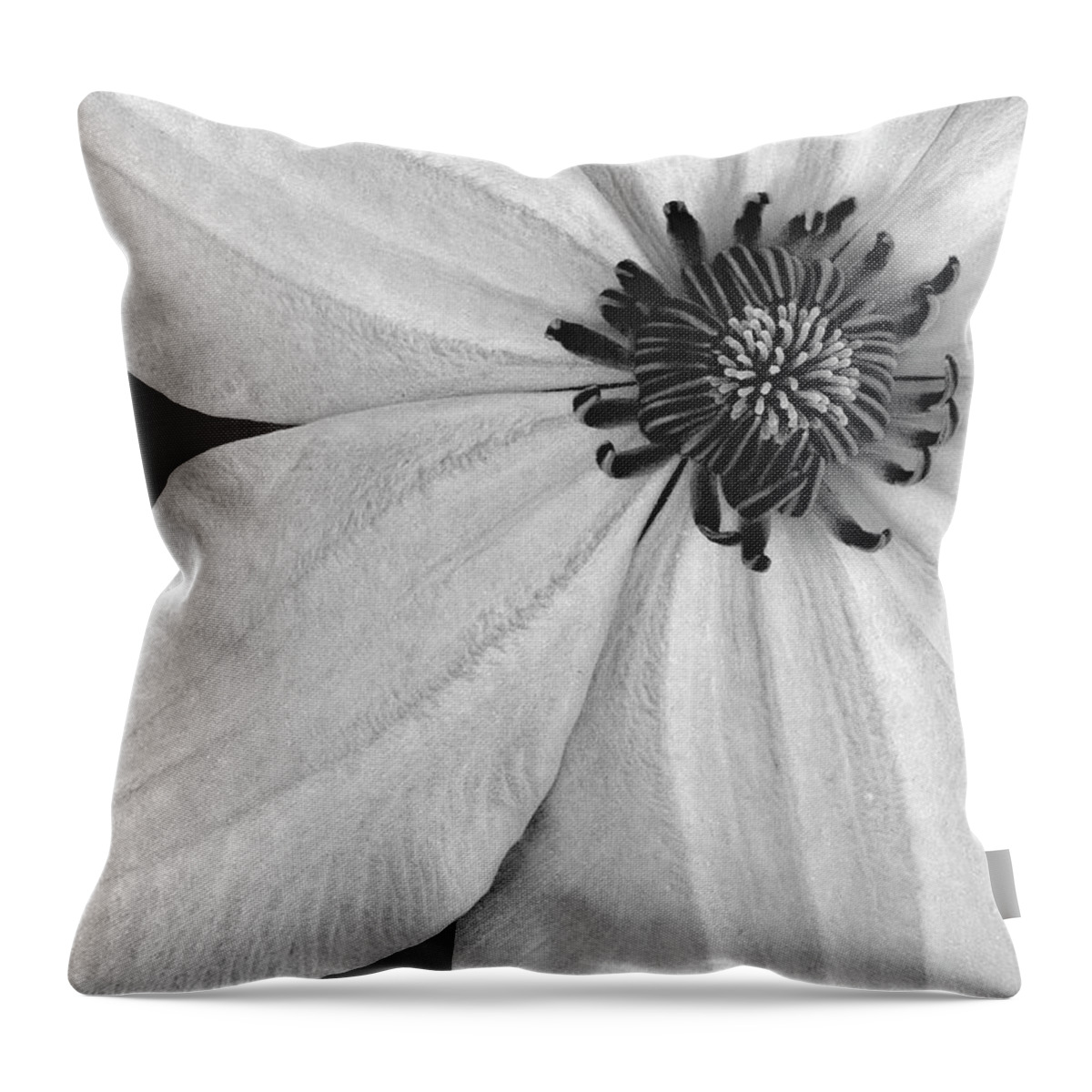 Clematis Throw Pillow featuring the photograph Clematis Flower BW by Susan Candelario