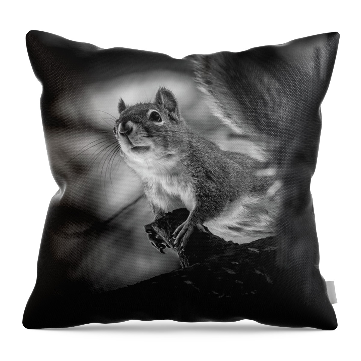 Animal Throw Pillow featuring the photograph Climbing The Pine by Bob Orsillo