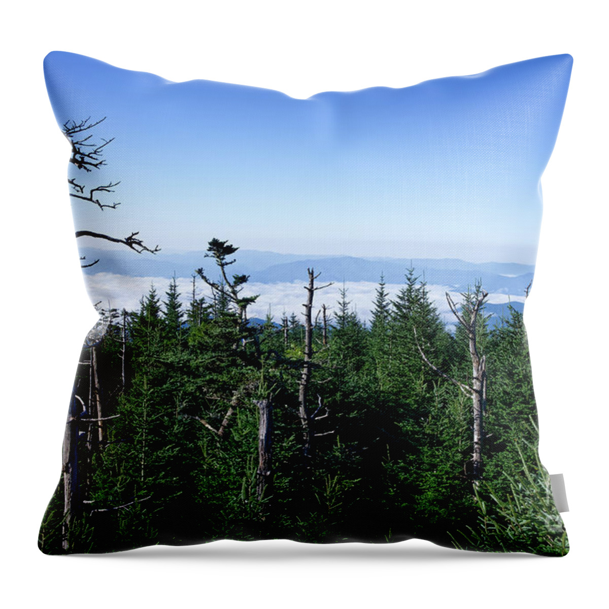 Clingmans Dome Throw Pillow featuring the photograph Clingmans Dome 16 by Phil Perkins