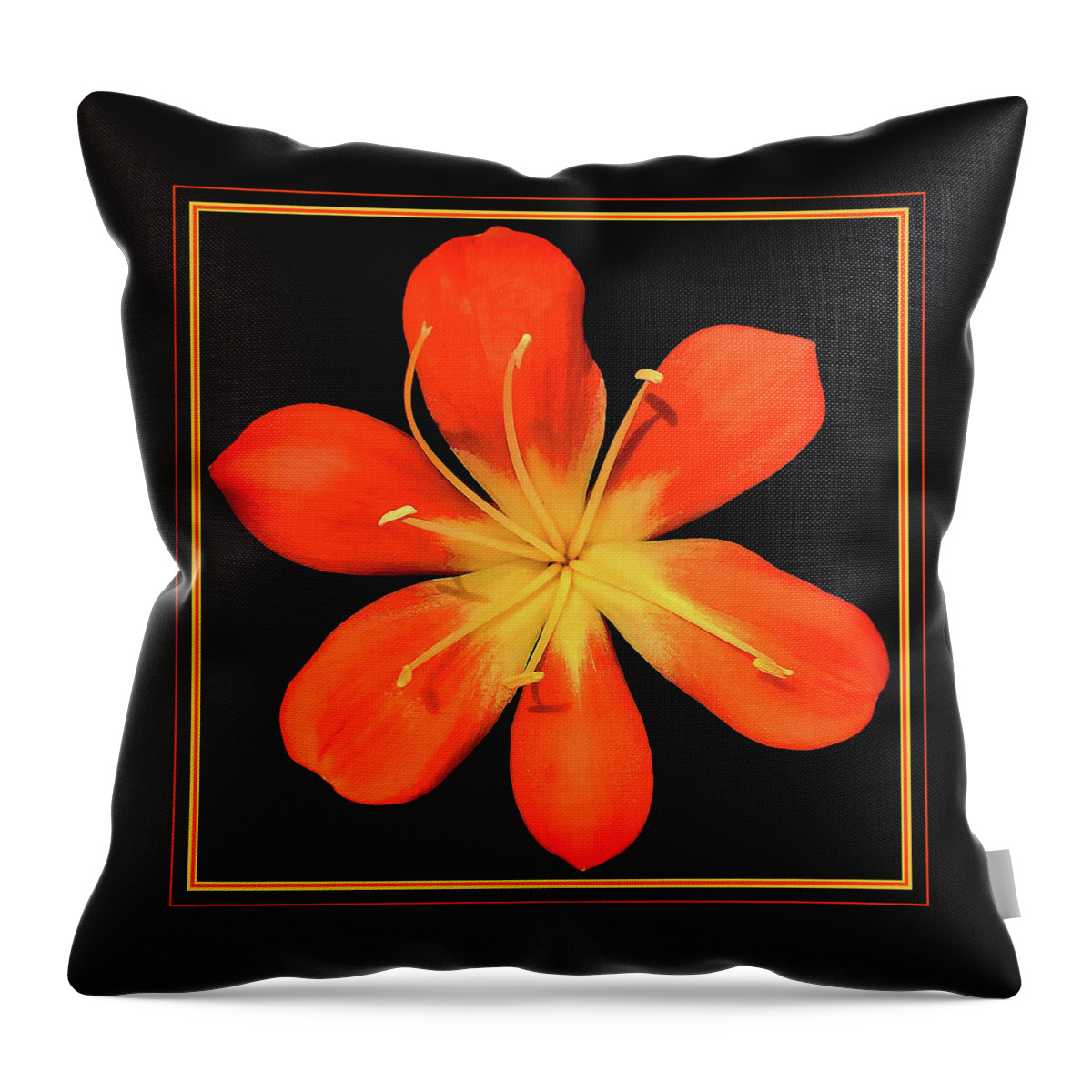 Clivia Flower Throw Pillow featuring the digital art Clivia Flower by Susan Maxwell Schmidt
