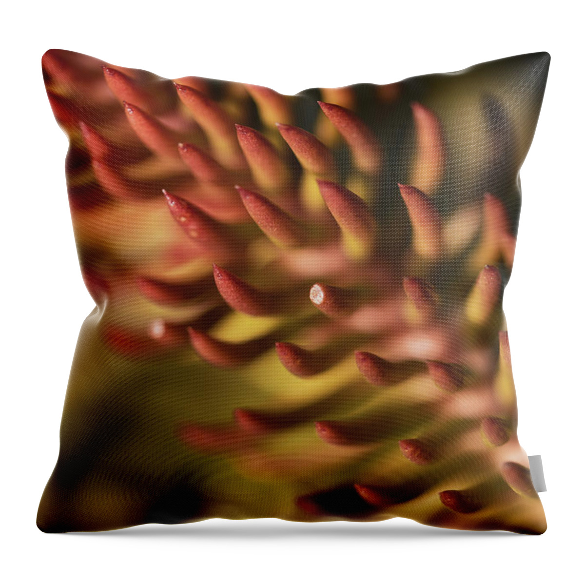Macro Throw Pillow featuring the photograph Close-up Nature by Martin Vorel Minimalist Photography