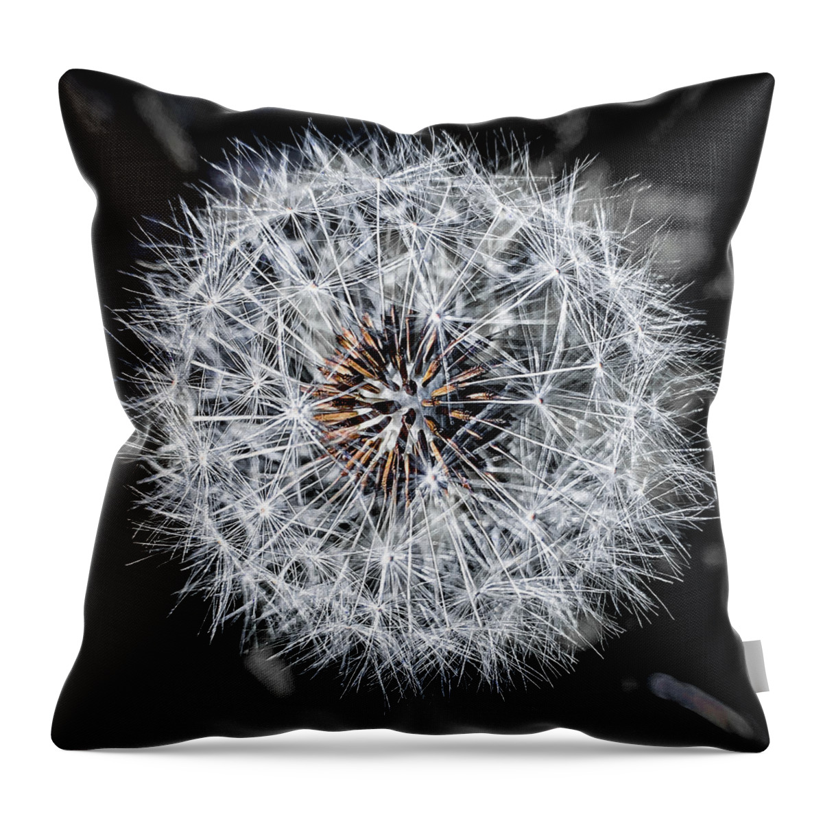 Dandelion Throw Pillow featuring the photograph Close up of a dandelion by Jim Feldman
