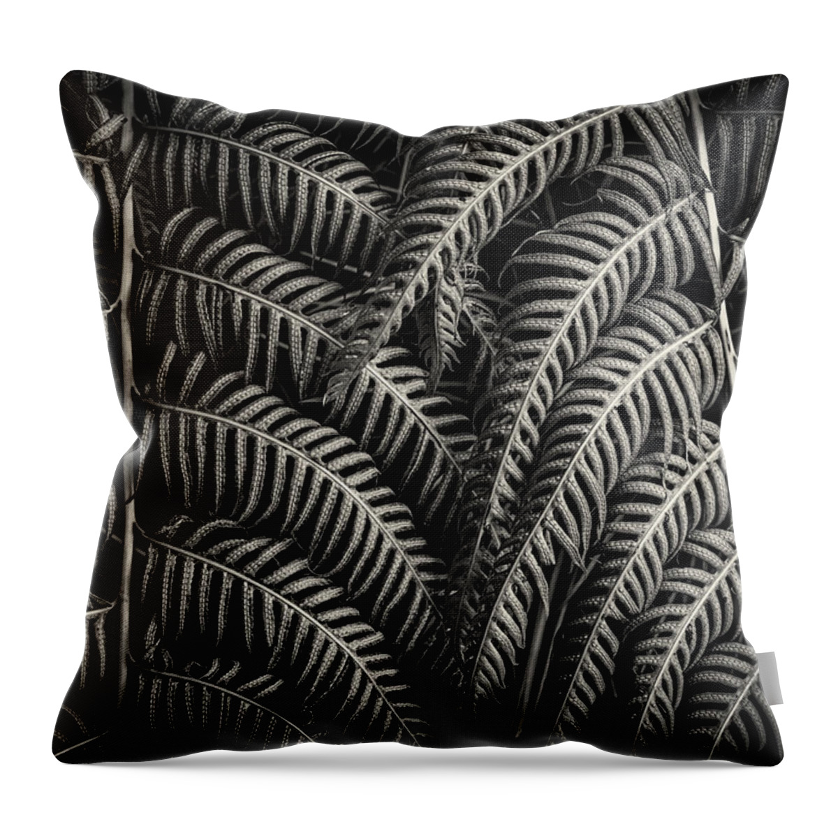 Fern Leaf Throw Pillow featuring the photograph Close-up on a fern leaf by Alessandra RC