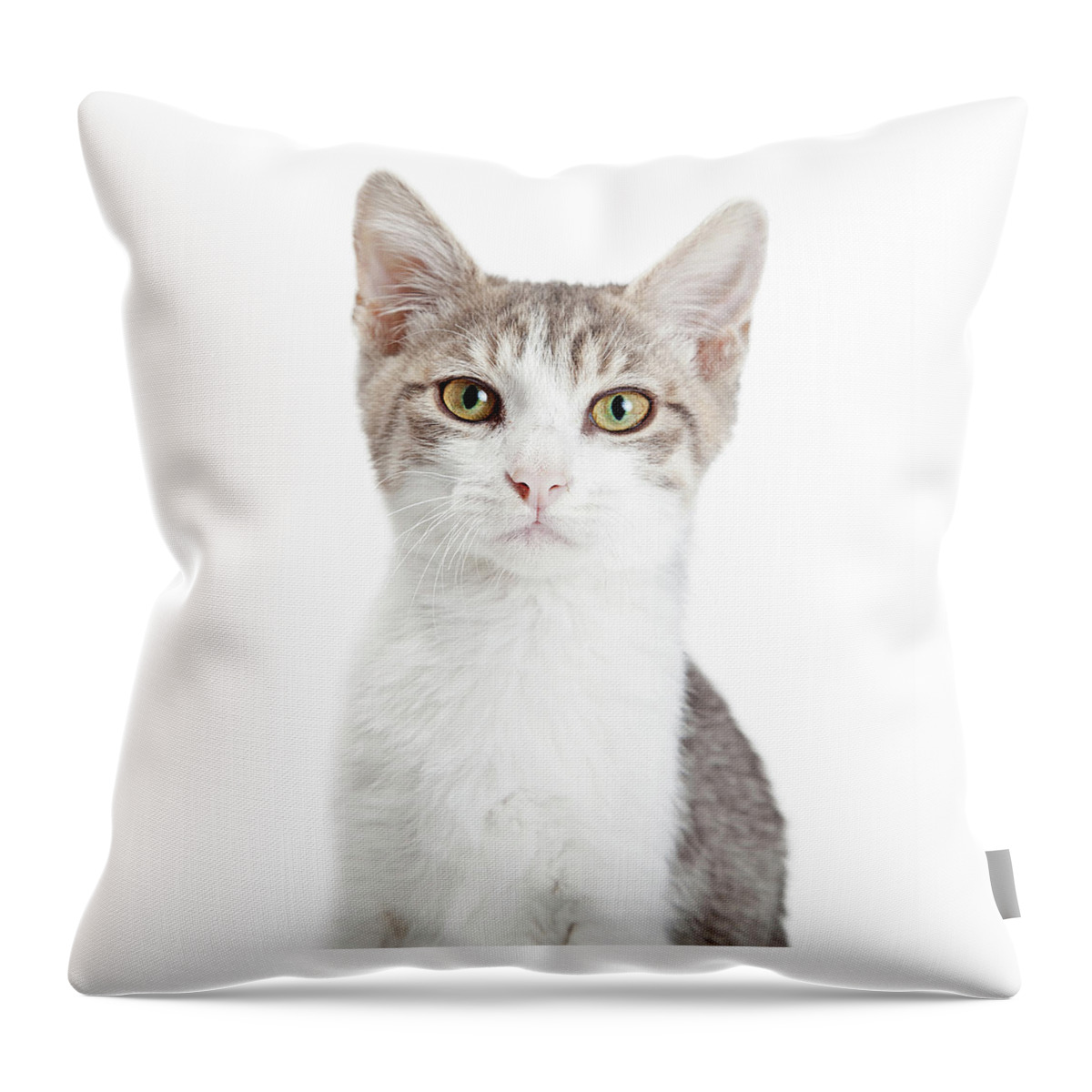 Animal Throw Pillow featuring the photograph Closeup Young Attentive Gey Cat by Good Focused