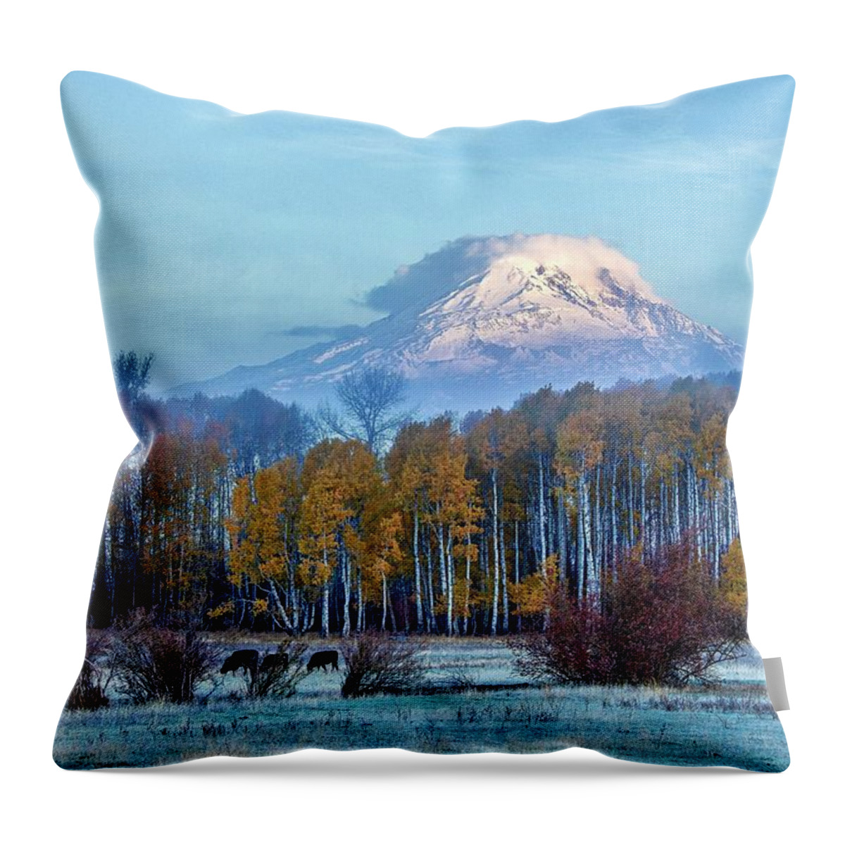 Clouds And Fog On Mount Adams Throw Pillow featuring the photograph Clouds and fog on Mount Adams by Lynn Hopwood